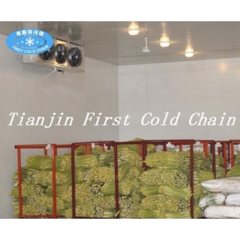 China high-effective Cold Room for Frozen Meat or Fish