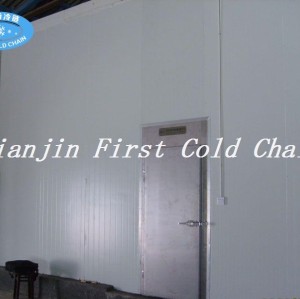 Fábrica de suministro de cámara frigorífica de alta calidad para carne o pescado congelado