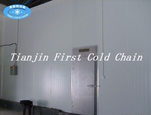 Depósito en frío rentable / sala para almacenamiento de carne / pescado congelado