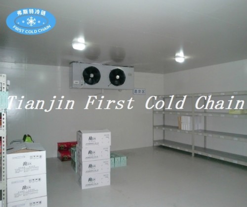 China Pequeña cámara fría de alta eficiencia para Friuts, verduras