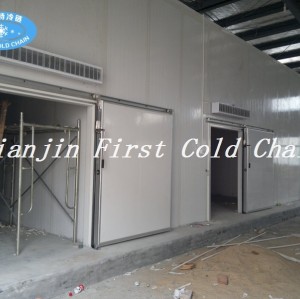 China Cold Room cost-effective customization/Storage/hot sale Cold storage for Vegetable or Fruit