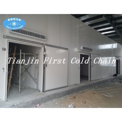 China Factory Supply  High Quality Cold Room for Meat storage