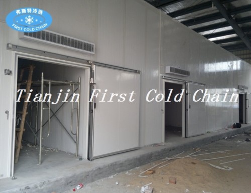 Personalización de China Cámara frigorífica / Almacenamiento / venta caliente Almacenamiento en frío para fruta vegetal