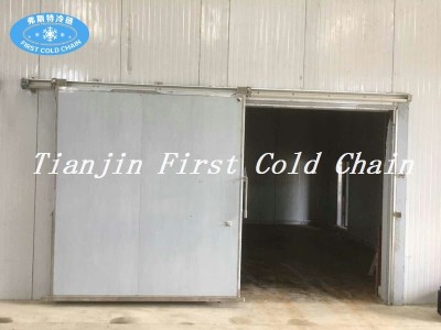 Chambre froide de haute qualité pour le stockage de la viande en Chine