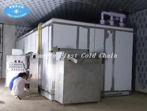 Congelador rápido fluidificado 1000kg / h de IQF de alta calidad para la verdura de las bayas