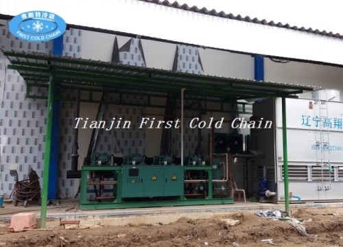 Fluidized Quick Freezer for Strawberries/Vegetable IQF Quick Freezing Equipment in China