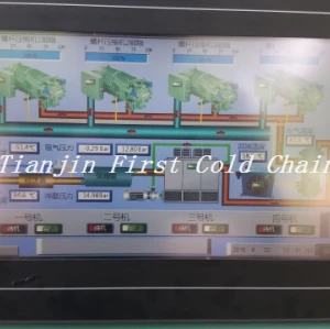 China High Quality IQF freezer FSLD1000 / Fluidized Bed Freezer for Vegetables