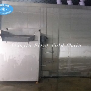 Fluidized Quick Freezer for Strawberries/Vegetable IQF Quick Freezing Equipment in China