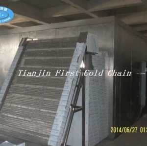 Innovative Fruit Fluidized IQF Freezer from China: Perfect for Food Processing Businesses