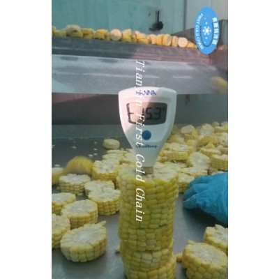 Revolutionize Your Business with Fluidized IQF Freezer for IQF Fruit and Vegetable Processing