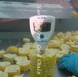 Máquina de congelación rápida fluidificada por fruta / equipo de procesamiento de alimentos