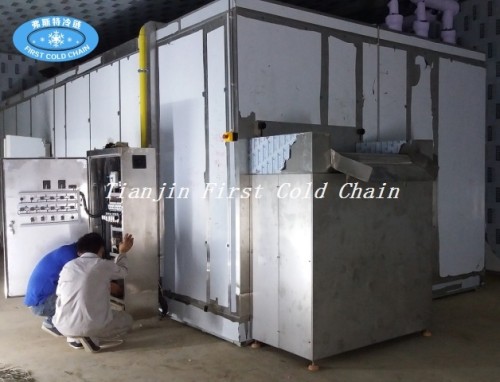 China first cold chain full automatic fluidized bed IQF freezer machine 1500kg/h for frozen fries
