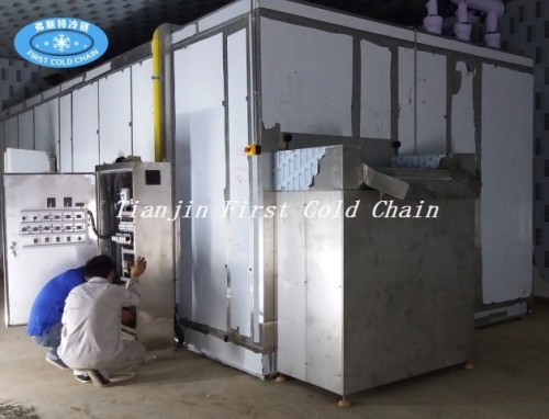 Small type Fluidized bed IQF freezer 100kg/h for frozen IQF vegetables from China