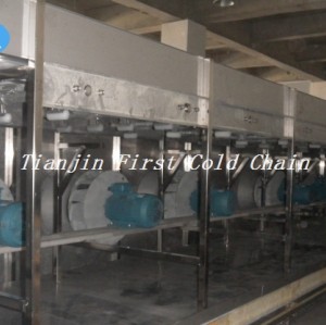China's Leading IQF Freezer Supplier for Frozen Fruit - Cost-Effective Fluidized Bed Freezer