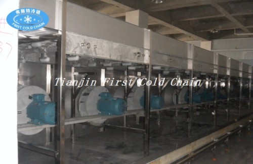 China  High Quality IQF machine for vegetables /quick freeze machine