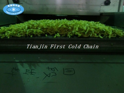 China rentable Fluidizada congelador rápido / maquinaria IQF para fruta congelada
