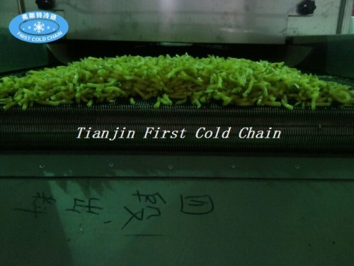 Première machine entièrement automatique 1500 kg / h de la chaîne du froid en Chine pour les fruits et légumes congelés