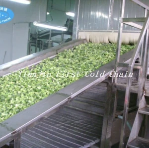 China High Quality Fluidized IQF Freezer for Berries Vegetable Fruit Seafood