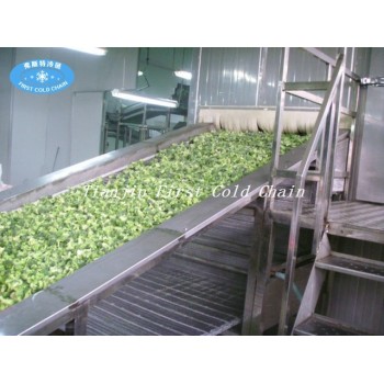 China High Quality Fluidized IQF Freezer for Berries Vegetable Fruit Seafood