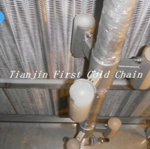 First cold chain High-Performance China IQF Freezer - Perfect for Fries and Vegetables freeze