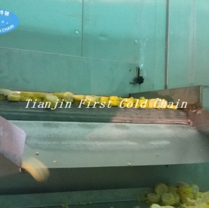 Fluidization bed quick freezer/ IQF machine FSLD1000 for vegetable in China