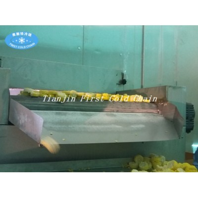 Fluidization bed quick freezer/ IQF machine FSLD1000 for vegetable in China