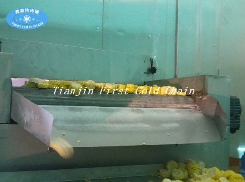 Флюидизированная линия быстрой заморозки и производства картофельных чипсов IQF