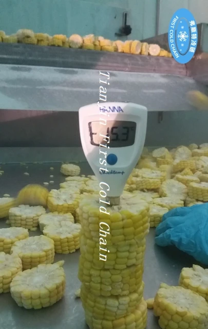 Congelador rápido fluidizado / Fluidización Congelador rápido individual 3000kg / h