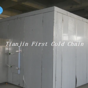 Alta calidad Fluidized Quick Freezing para iqf lichee