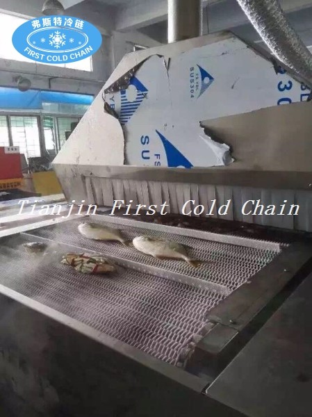 Seafood/shrimp low temperature 3000kg/h Liquid Nitrogen Tunnel Freezer