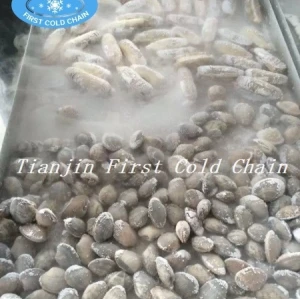 Excellent Liquid Nitrogen Tunnel Freezer/ low temperature Tunnel Freezer for freeze seafood