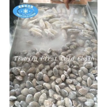 Excellent Liquid Nitrogen Tunnel Freezer/ low temperature Tunnel Freezer for freeze seafood