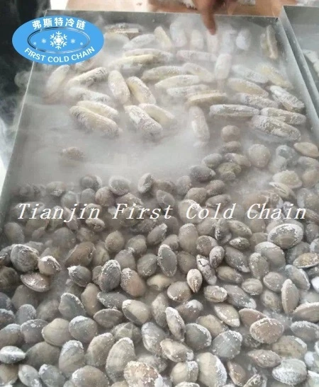 China 500kg/h Seafood IQF Tunnel Freezer with Liquid Nitrogen