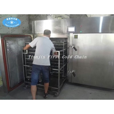 Seafood/shrimp low temperature 3000kg/h Liquid Nitrogen Tunnel Freezer