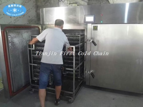Seafood/shrimp low temperature 3000kg/h Liquid Nitrogen Tunnel Freezer