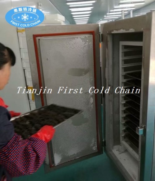Máquina de congelación rápida de nitrógeno de alta calidad con congelador de túnel de carne iqf máquina de congelación rápida
