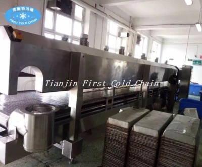 China High quality 300kg/h Liquid Nitrogen iqf freezer machine/ tunnel freezer