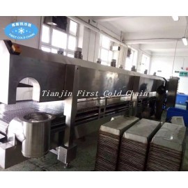 China High quality 300kg/h Liquid Nitrogen iqf freezer machine/ tunnel freezer