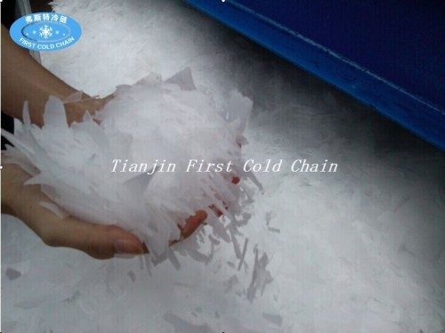 Fábrica de hielo de la planta de hielo industrial 8000kg / 24h para el pescado