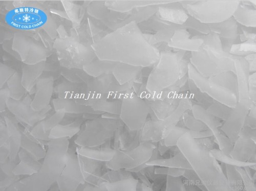 China high quality Flake ice machine 5T/24h for vegetable and fruit