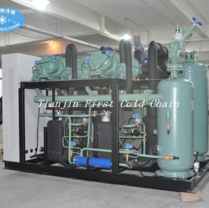 Series Reciprocating Refrigeration Compressor Unit for Storage