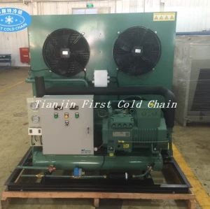 China 3-50HP Bitzer Brand Semi-Hermetic Compressor unit for Refrigeration