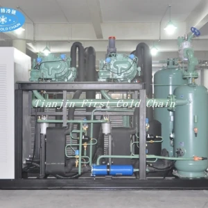 First cold chain High quality 500kg/h Tunnel Freezer / quick freezer for IQF shrimp
