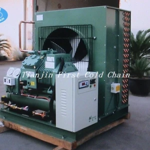 Hot Sell Walk in Cold Room Freezer Compressor Unit