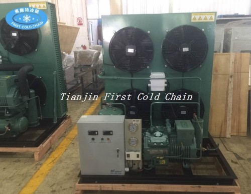 Cold Room or Cold Storage Compressor and Condensing Unit