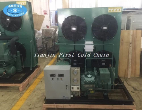 Compressed Air cooling Compressor Unit for kinds of cold room and IQF freezer