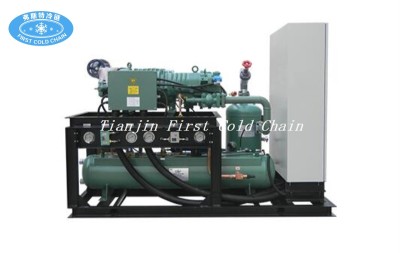 Cold Room or Cold Storage Compressor and Condensing Unit