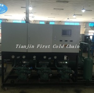 Frozen Chicken with Cold Room compressor Condensing Unit from China first cold chain