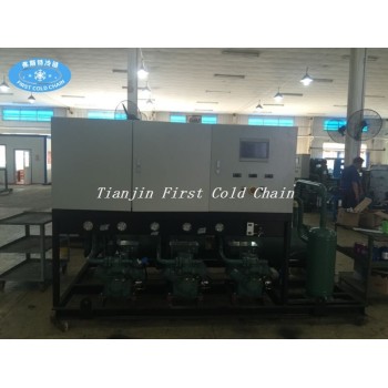 Refrigeration Compressor Condensing Units Used for Cold Room / Cold Storage