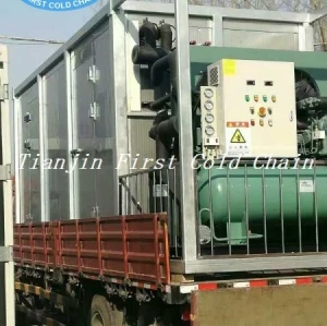 Congelador rápido criogénico de alta calidad de 4000 Kg / 8 horas